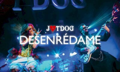 jotdog-vuelve-con-‘desenredame’