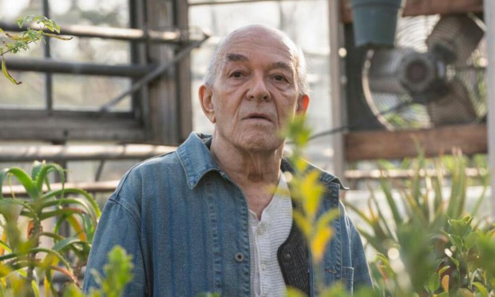 mark-margolis,-‘hector-salamanca’-en-‘breaking-bad’,-fallece-a-los-83-anos